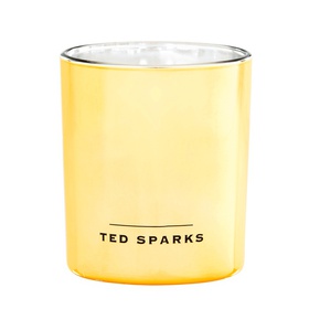 Candle "Vanilla & Cedar" - Ted Sparks