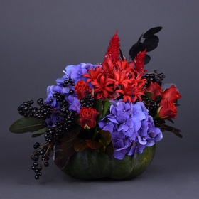 Floral composition in pumpkin blue-red
