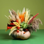 Floral composition in pumpkin with echiveria