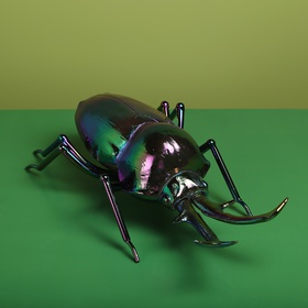 Deer beetle