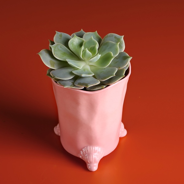 Ceramic glass on legs pink