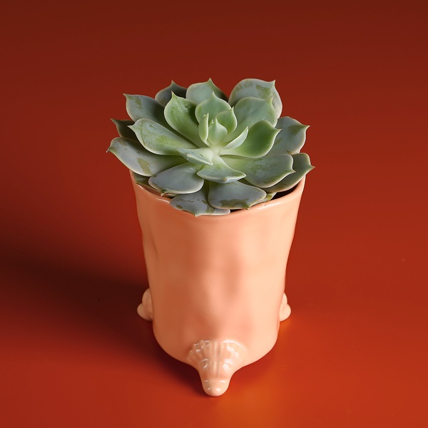 Ceramic glass on legs peach
