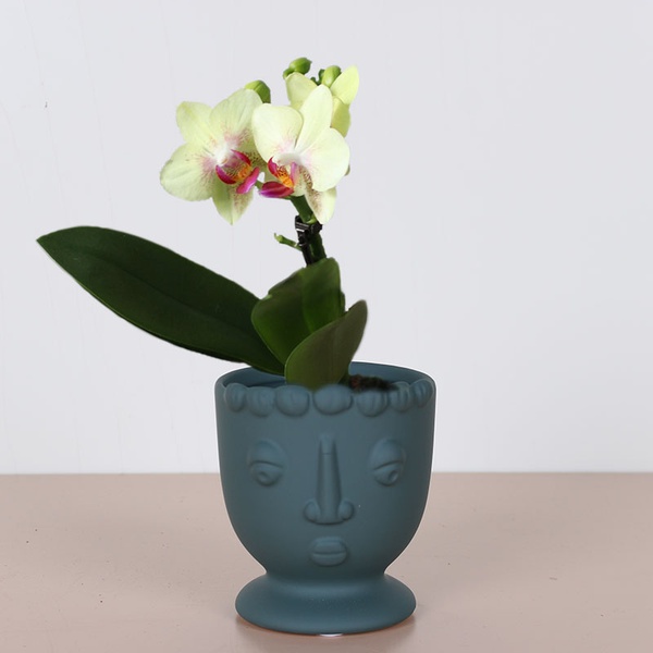 Planter VISAGE, Size XS