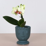 Planter VISAGE, Size XS