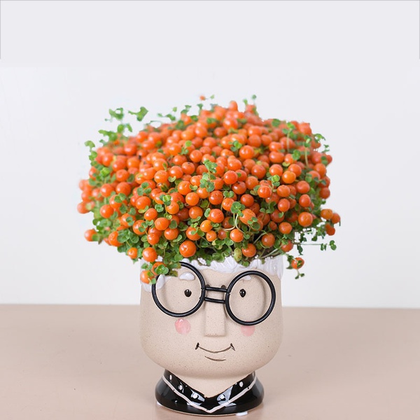 GRANDMA planter, HOFF-INTERIEUR M