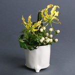 Midi composition with gloriosa
