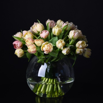 Bouquet of 35 peony tulips in a vase