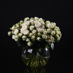 Bouquet of 35 white roses Miss Bombastic