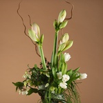 Men's bouquet with white amaryllis