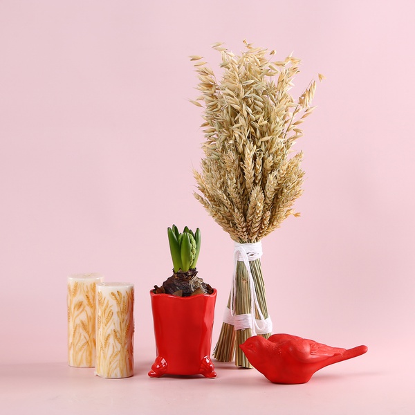 Set “Symbols of Warmth”