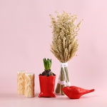 Set “Symbols of Warmth”