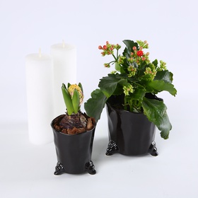 Set “Black Classic”
