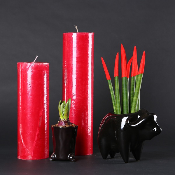 The “Power of Red” set