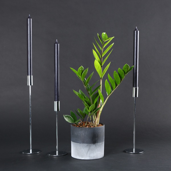 The “Emerald Minimalism” set