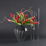 The “Red Geometry” set