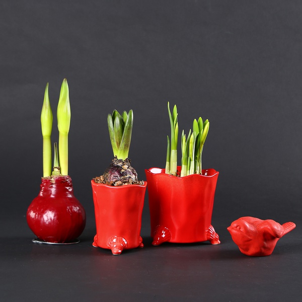 The “Spring Accent in Red” set