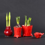 The “Spring Accent in Red” set