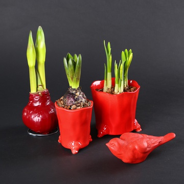 The “Spring Accent in Red” set
