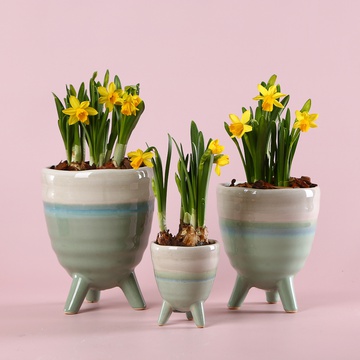 The "Gentle Breath of Spring" set