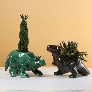 "Jungle at home" - ceramic planters