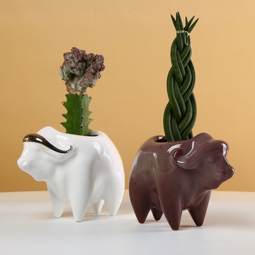 "Buffalo" - ceramic planters with plants