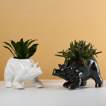"Black and White" - ceramic triceratops plant pots with plants
