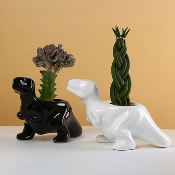 "Dino" - ceramic plant pots with plants