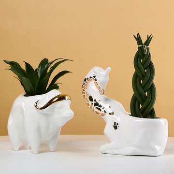 "Buffalo and Giraffe" - ceramic planters with plants