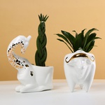 "Buffalo and Giraffe" - ceramic planters with plants
