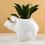 "Buffalo and Giraffe" - ceramic planters with plants