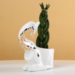 "Buffalo and Giraffe" - ceramic planters with plants