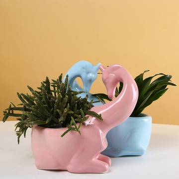 "Giraffes" - ceramic planters with plants