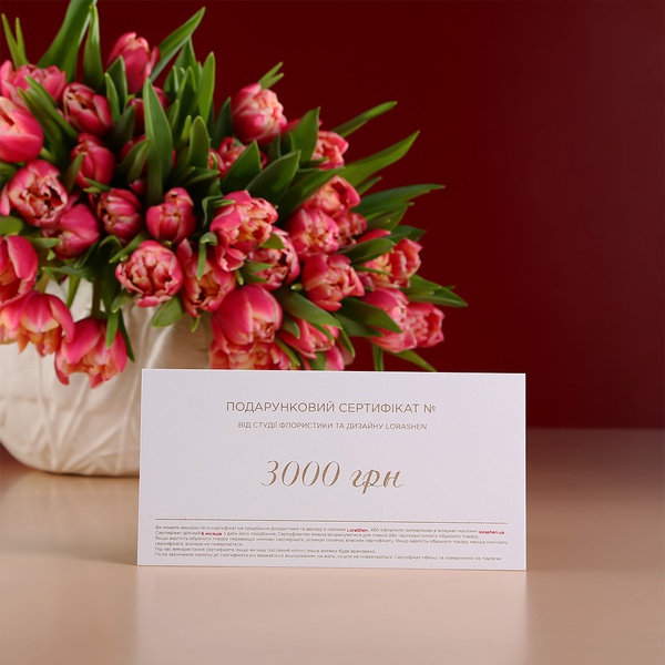 Gift Certificate 3000