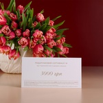 Gift Certificate 3000