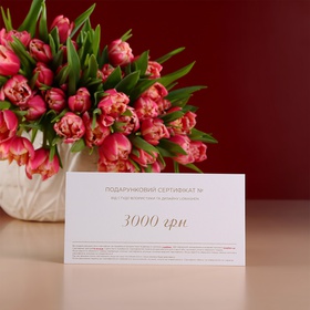 Подарунковий сертифікат 3000