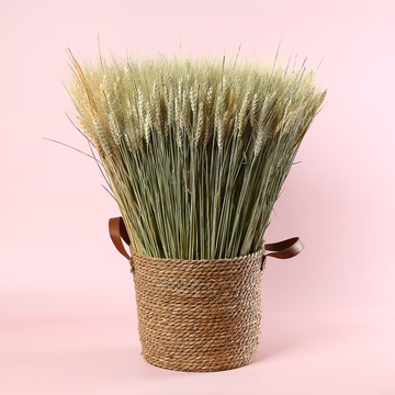 The “Wheat Field” décor rental