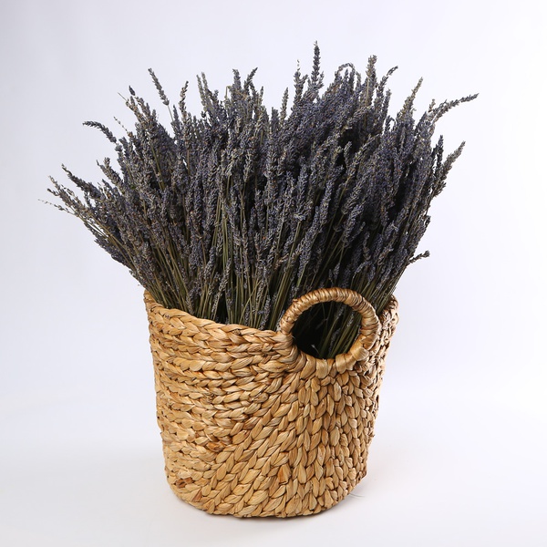The “Lavender Comfort” décor rental