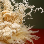 Bouquet of mixed dried flowers