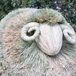“Straw Ram of Prosperity”