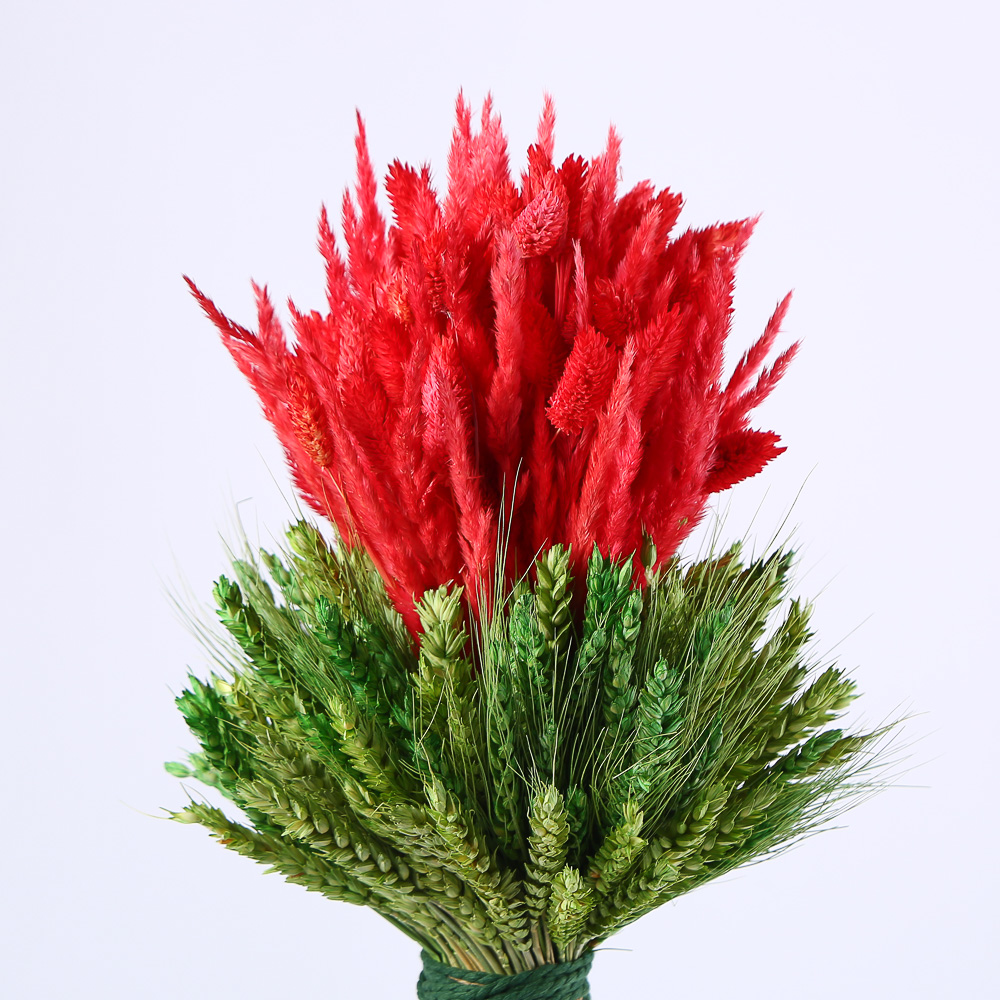 Decorative Dried Sheaf "Fiery Sheaf"