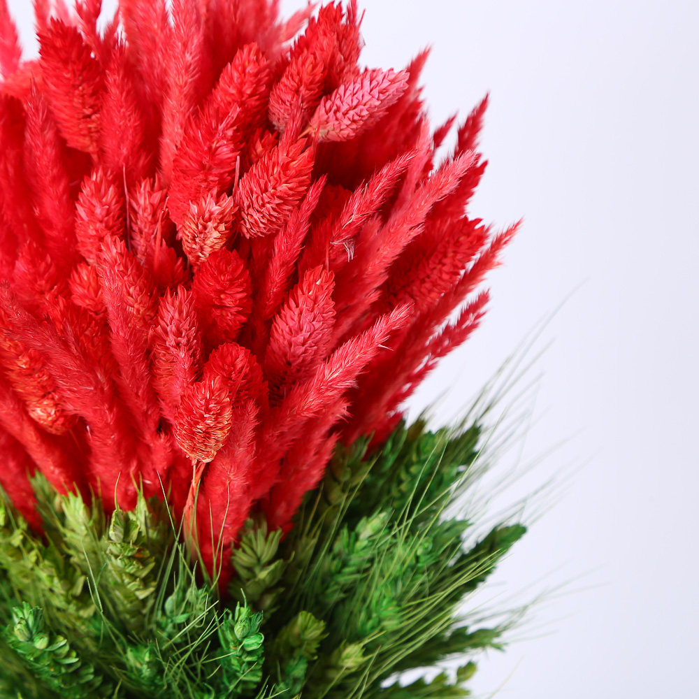 Decorative Dried Sheaf "Fiery Sheaf"