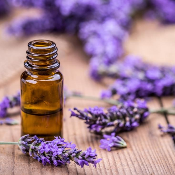 Flowers in medicine: medicinal properties and applications