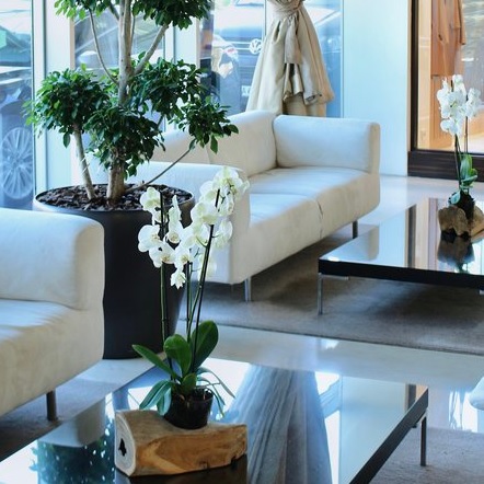 Flowers in interior landscaping