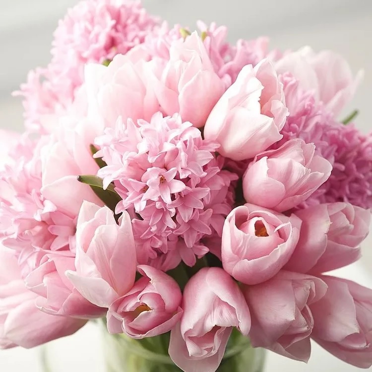 What flowers to give on March 8: florist's advice