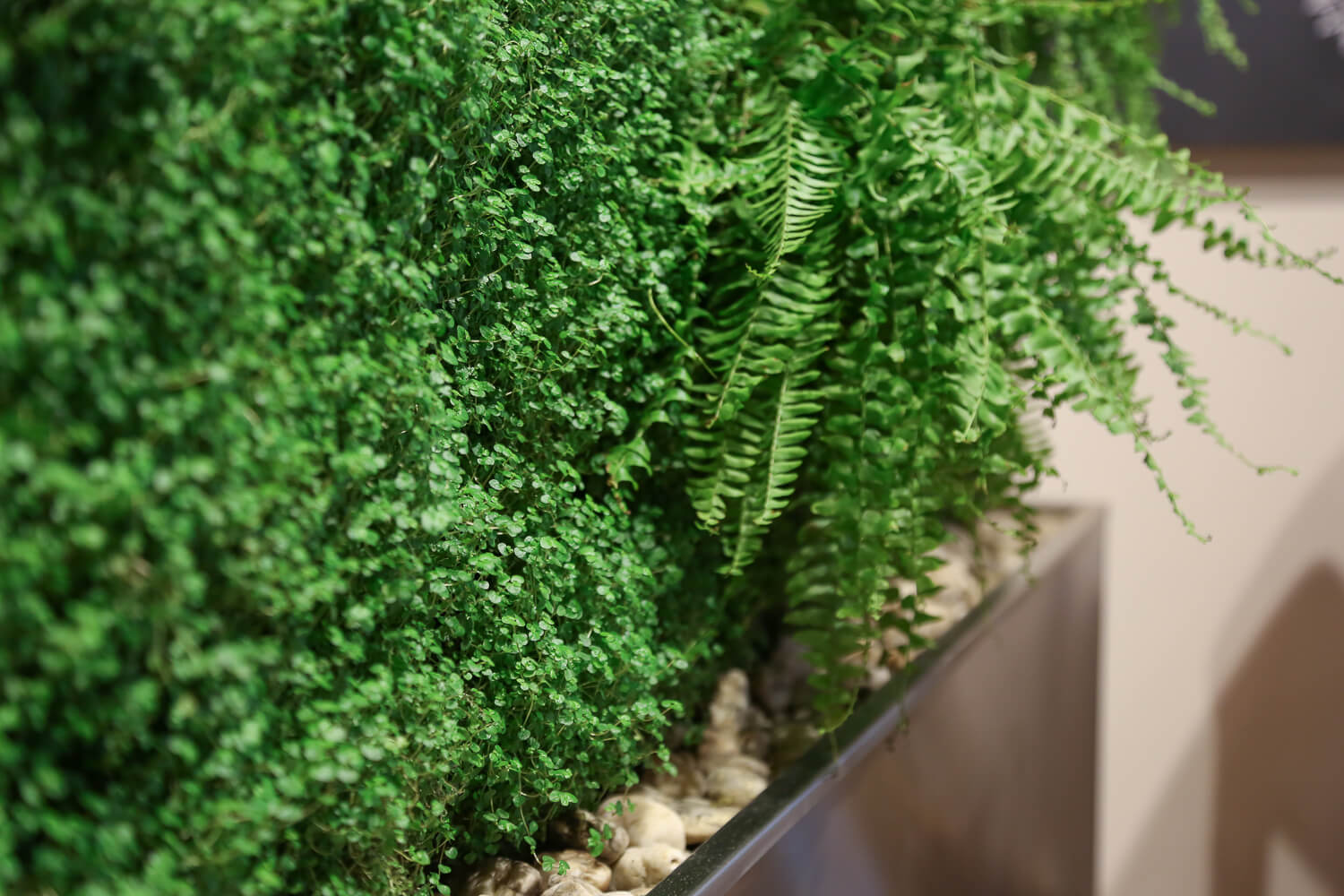 Green walls