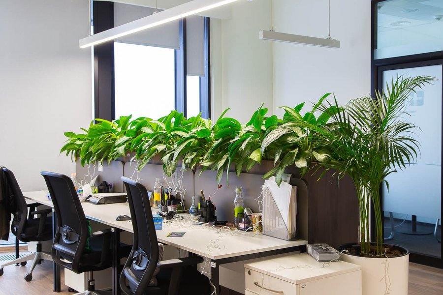 Jacobs Office Greening