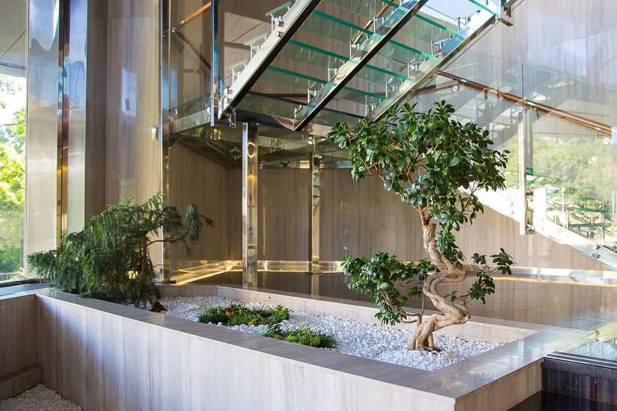 Японский сад для IQ Business Center