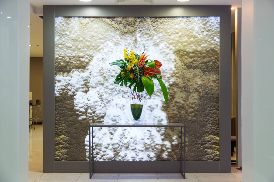 Interior floral arrangements at Borispol airport July 2019
