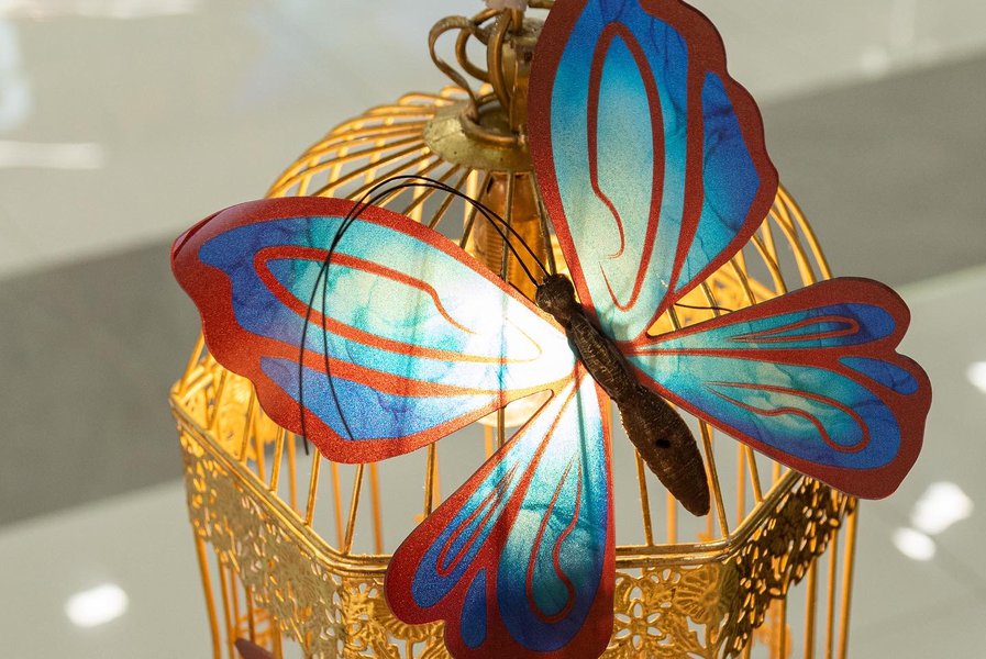 Fantastic butterflies: the decoration for Roshen in Ivano-Frankivsk