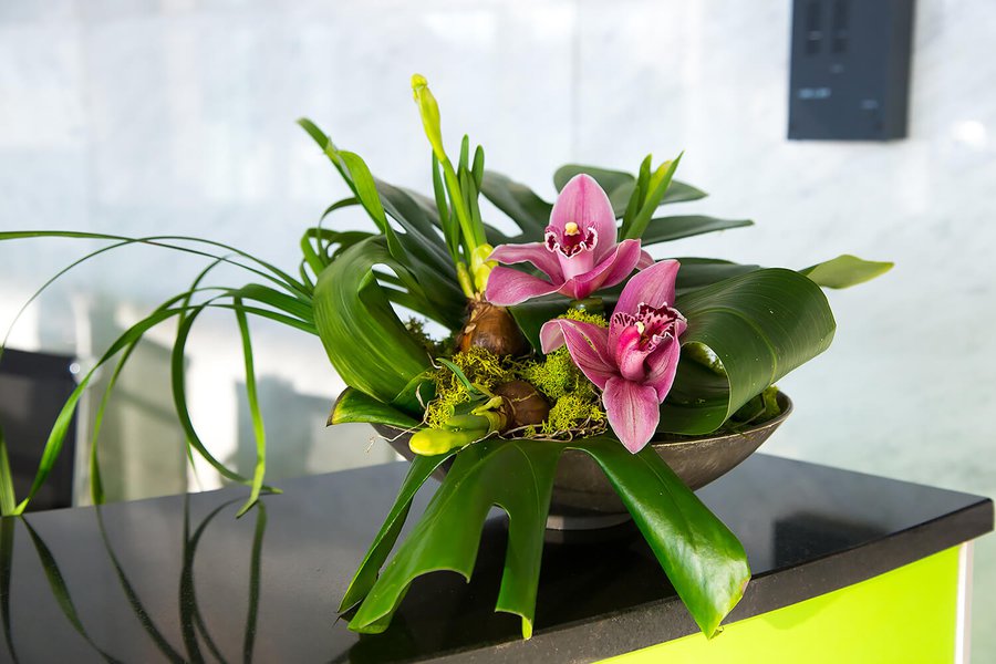 Interior floral arrangements at Borispol airport may 2019